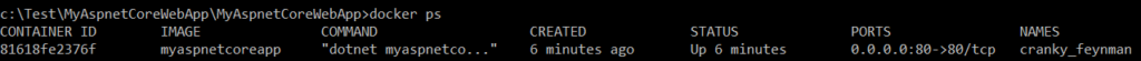 Docker ps Results