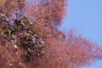 IMG_2301-MagickNET