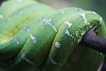 IMG_2325-MagicScaler